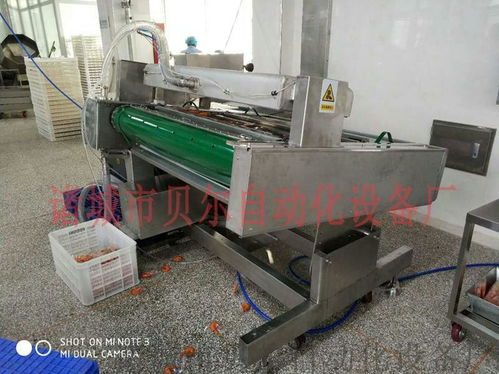 山东贝尔品牌休闲食品真空包装机械，厂家直销引领品质潮流